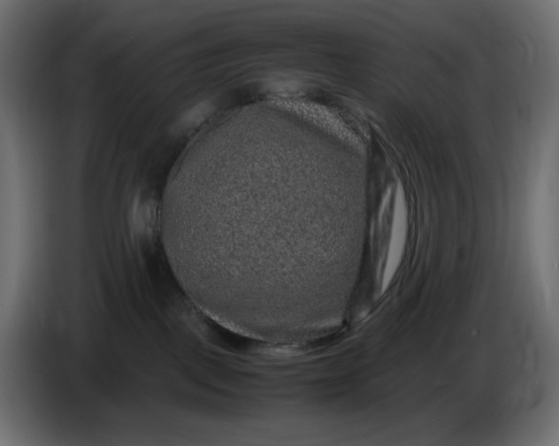 X0000087420093200705041316