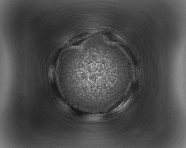 X0000087420094200705041316