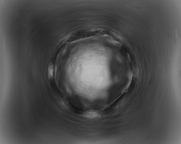 X0000087420095200705041316