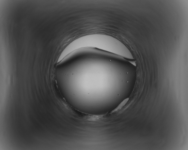 X0000087420096200705041316