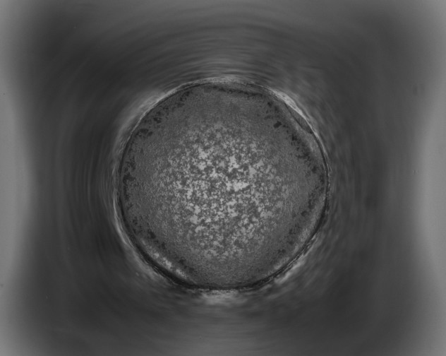 X0000087420097200705041316