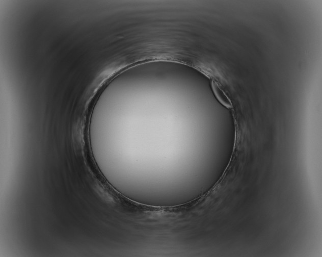 X0000087420098200705041316