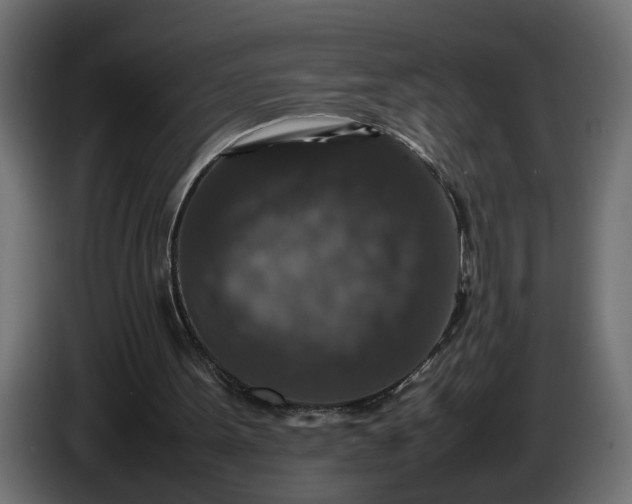 X0000087420099200705041316
