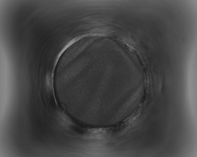 X0000087420100200705041316