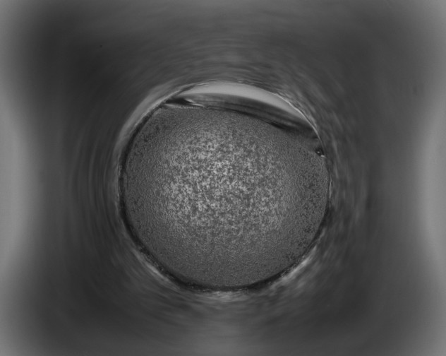 X0000087420101200705041316