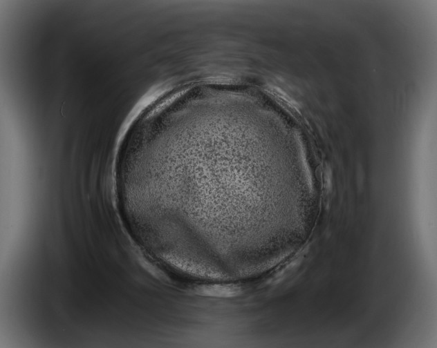 X0000087420102200705041316