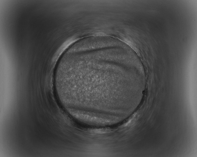 X0000087420103200705041316