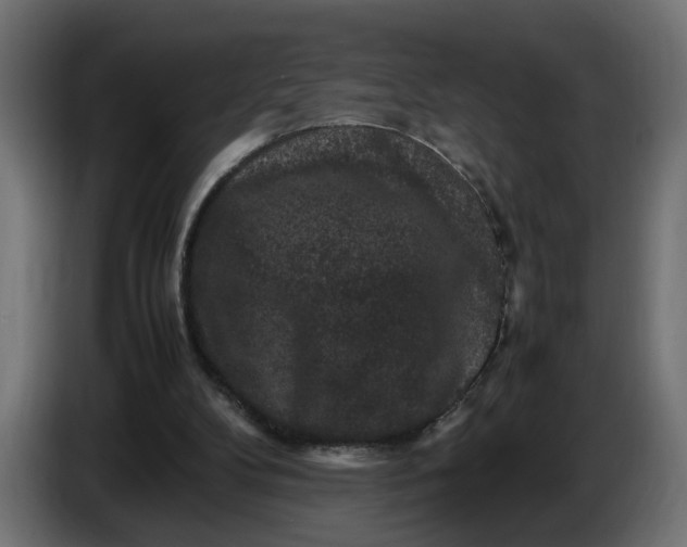 X0000087420104200705041316