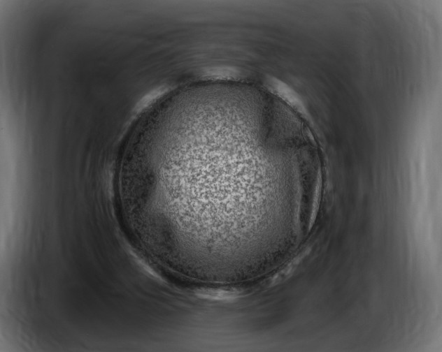 X0000087420106200705041315