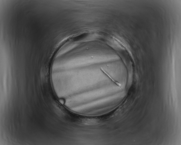 X0000087420107200705041315