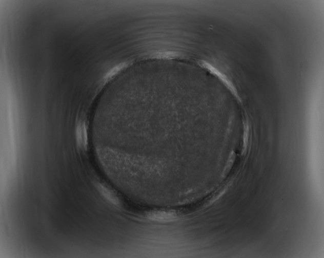 X0000087420110200705041315