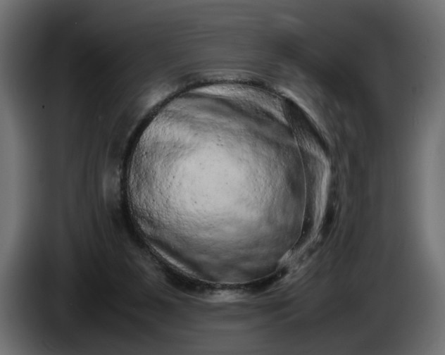 X0000087420111200705041315