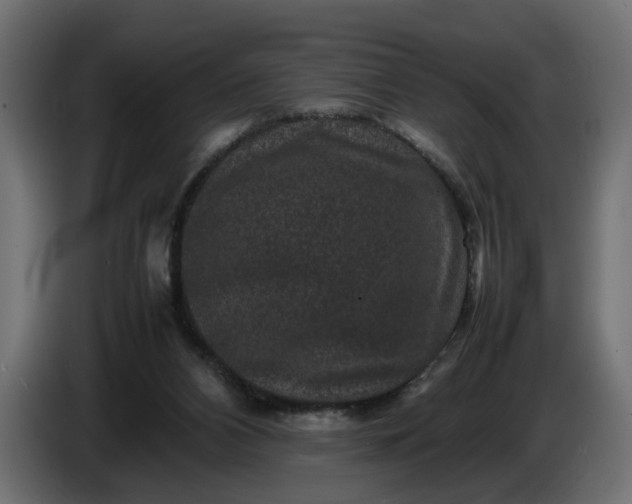 X0000087420112200705041315