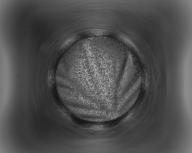 X0000087420119200705041315