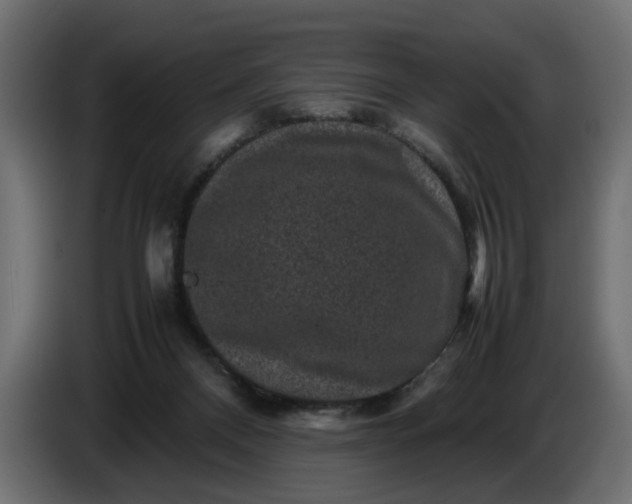 X0000087420120200705041315
