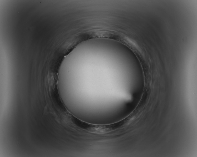 X0000087420121200705041315