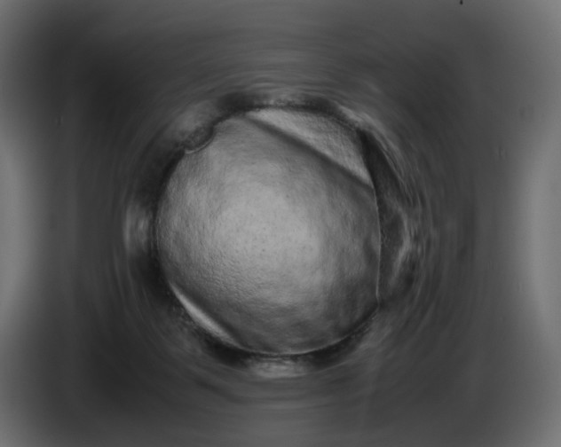 X0000087420123200705041315
