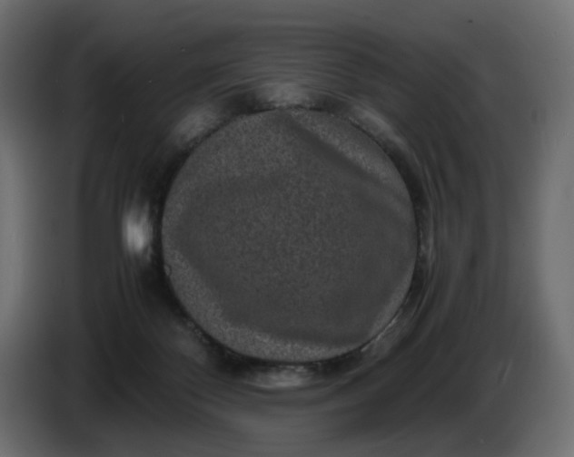 X0000087420124200705041315