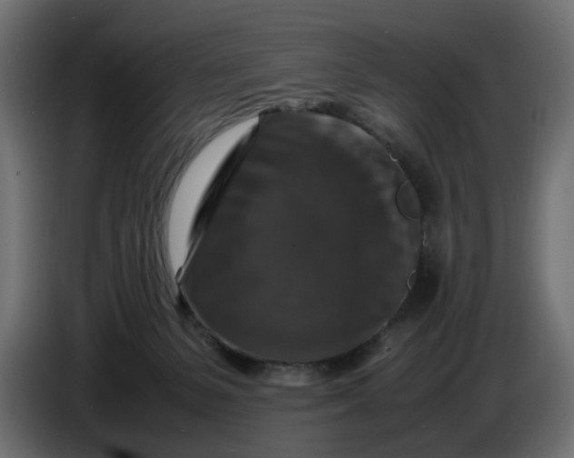 X0000087420127200705041315