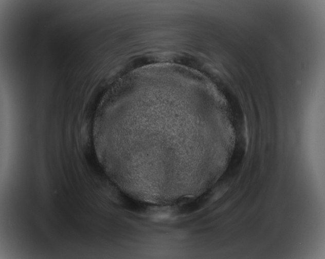 X0000087420131200705041315