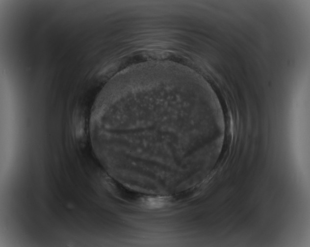 X0000087420134200705041315