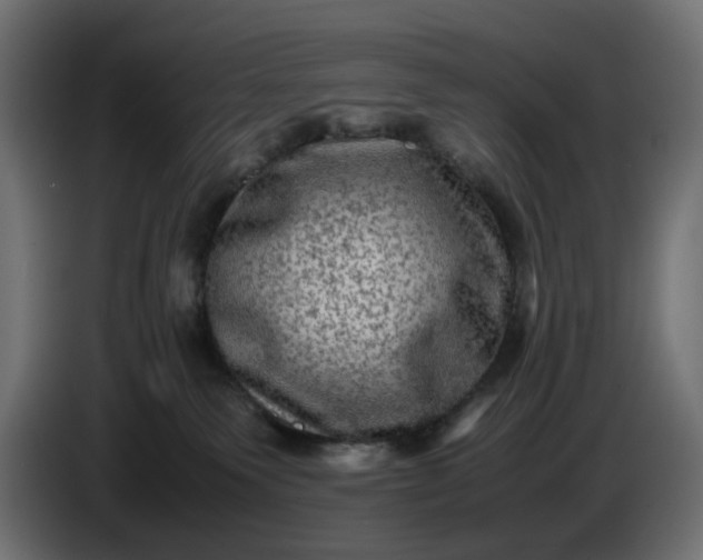X0000087420135200705041315