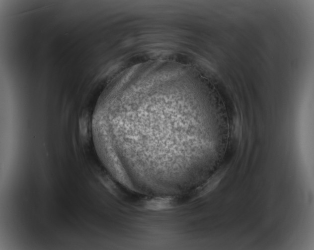 X0000087420138200705041315