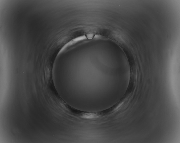 X0000087420139200705041315