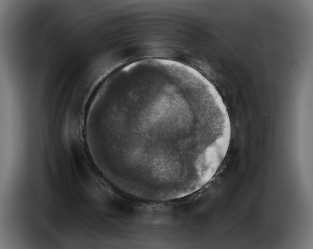 X0000087420146200705041314