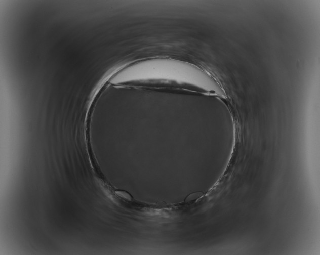 X0000087420147200705041314