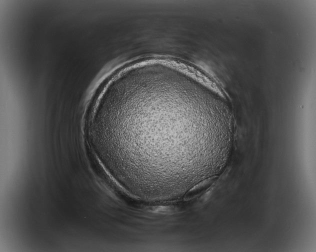 X0000087420151200705041314