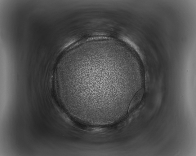 X0000087420153200705041314