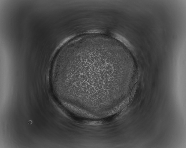 X0000087420155200705041315