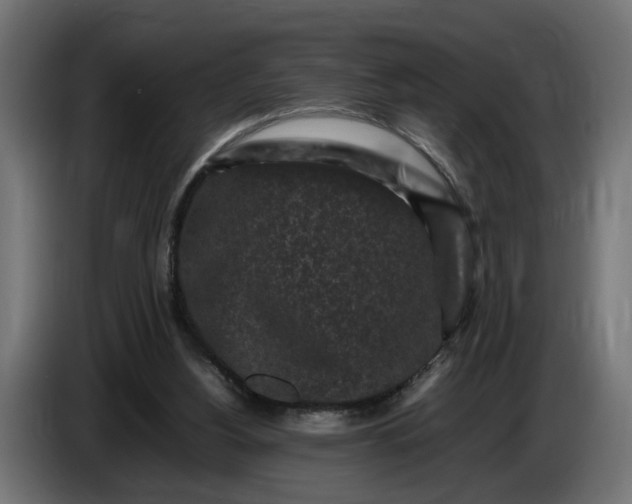 X0000087420156200705041315
