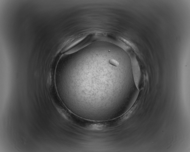 X0000087420158200705041315