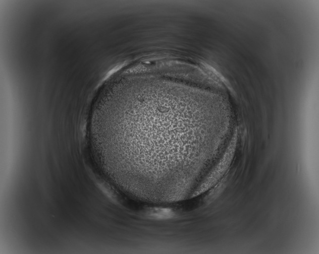 X0000087420159200705041315