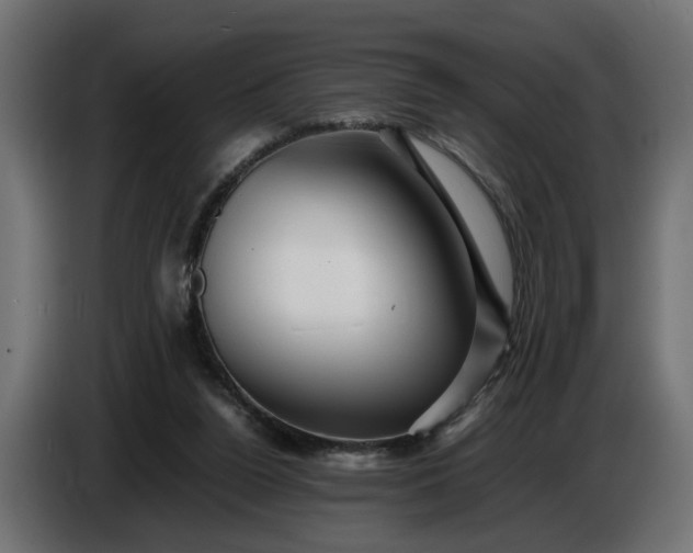 X0000087420160200705041315