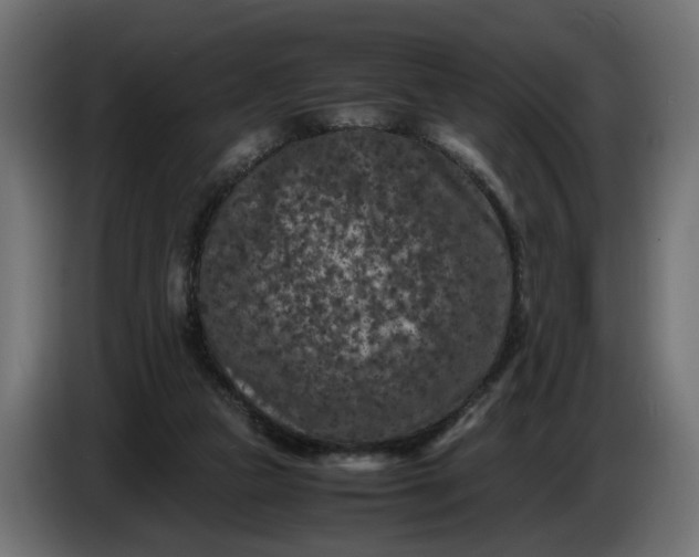 X0000087420161200705041315