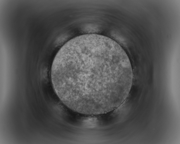 X0000087420162200705041315
