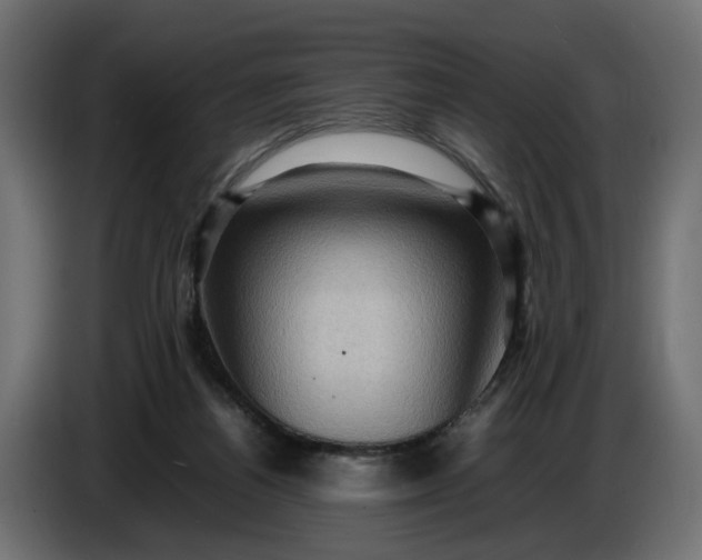X0000087420164200705041315