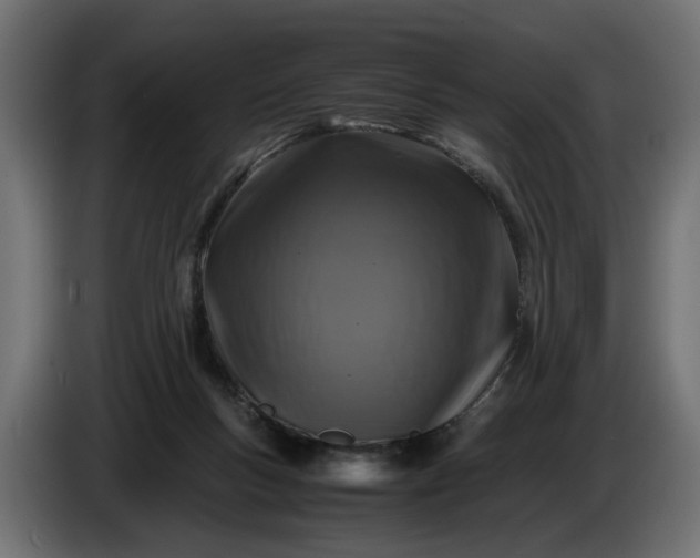 X0000087420167200705041315