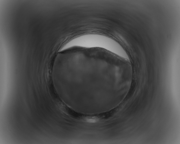 X0000087420169200705041315