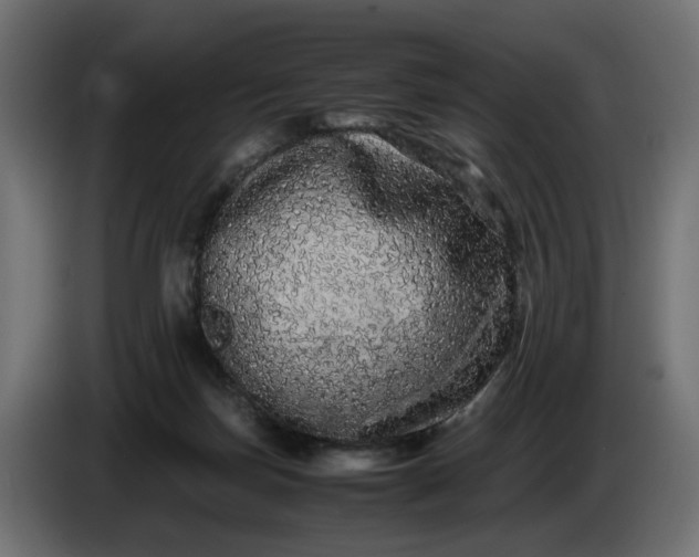 X0000087420171200705041315