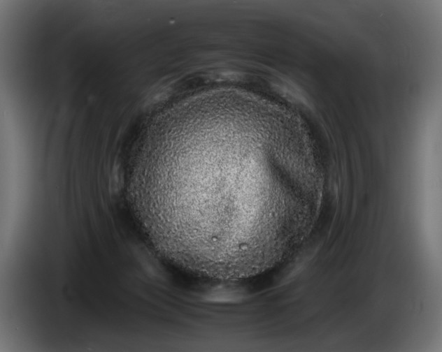 X0000087420173200705041315