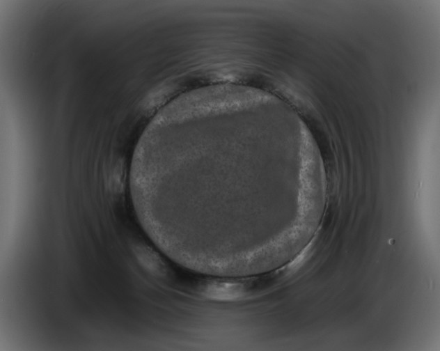 X0000087420174200705041315