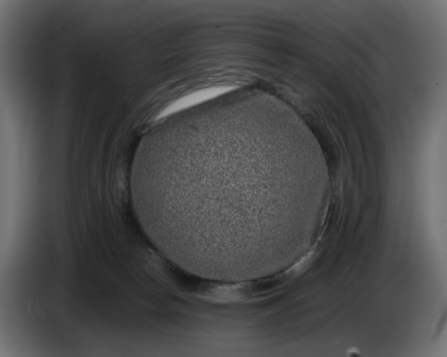 X0000087420178200705041315