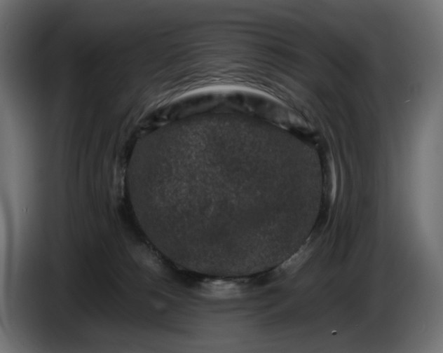 X0000087420180200705041315