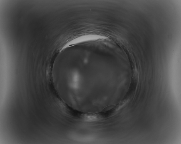 X0000087420181200705041315