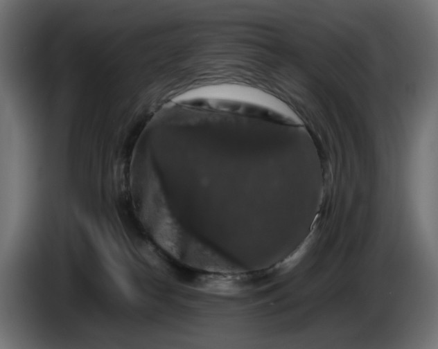 X0000087420182200705041315
