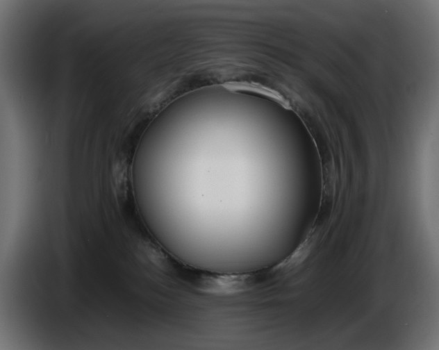 X0000087420184200705041315